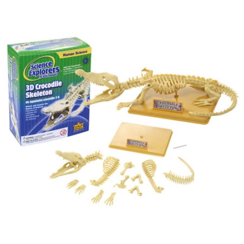3535-QF1
CROCODILE SKELETON KIT 3535-QF1
CROCODILE SKELETON KIT