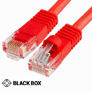 PATCH CORD CAT6 RED 1FT