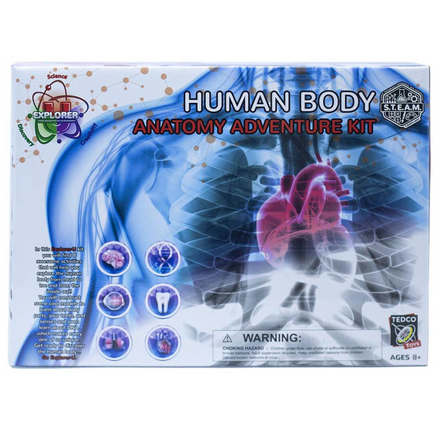 HUMAN BODY ANATOMY ADVENTURE KIT