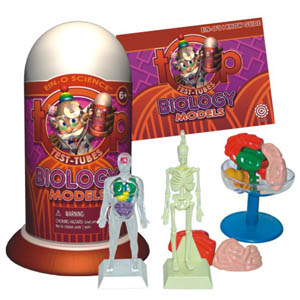 BIOLOGY MODELS 