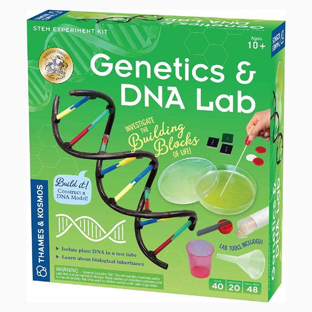 GENETICS & DNA 