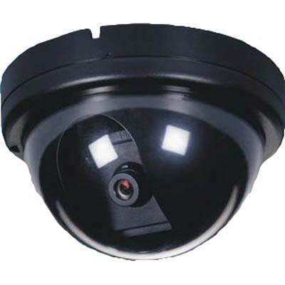 CAMERA DUMMY WITH MOTION SENSOR USE 2AA BATTERIES