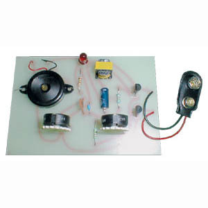 JUNGLE BIRD - SOUND EFFECTS 