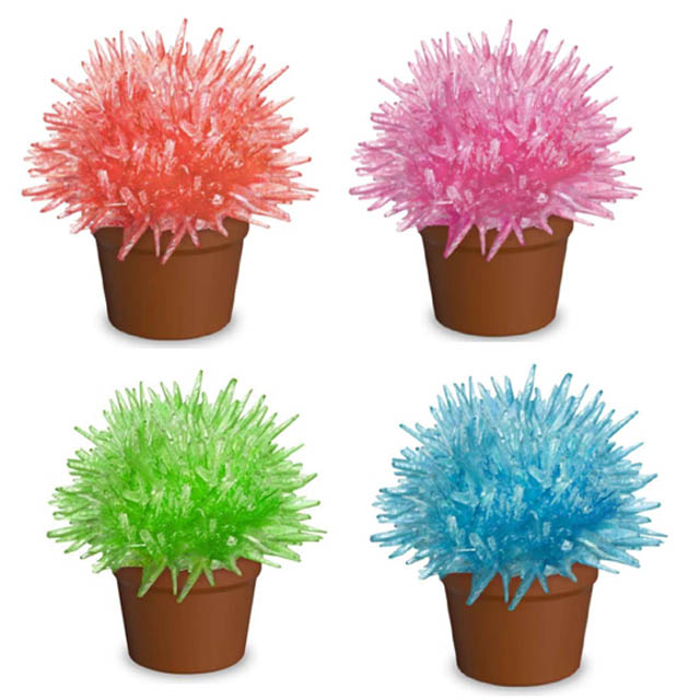 CRYSTAL CACTUS ASSORTED COLORS 