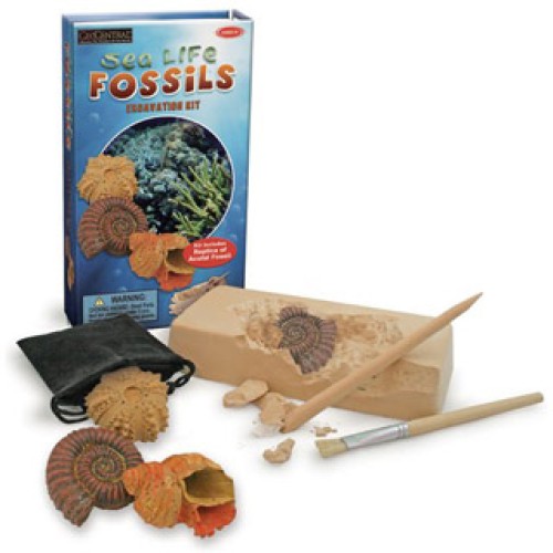 SEALIFE FOSSIL DIG KIT 