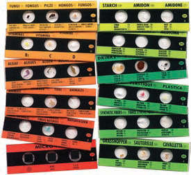 PREPARED MICRO SLIDES 12 SLIDES WITH 36 ASSORTED SPECIMENS
