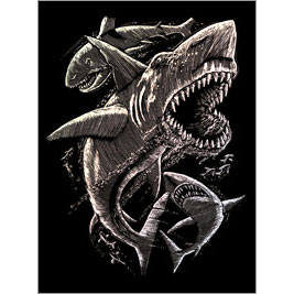 HOLOGRAPHIC ENGRAVING SHARKS 