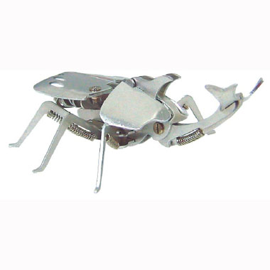 RHINO BEETLE 