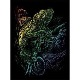 RAINBOW ENGRAVING CHAMELEON 