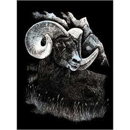 SILVER ENGRAVING LONGHORN RAM 