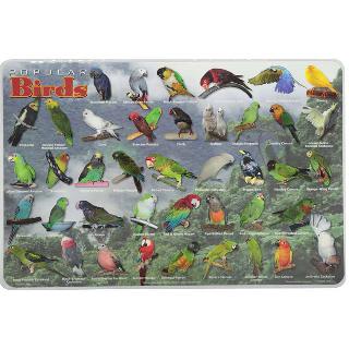 PLACEMAT POPULAR BIRDS 
SKU:261901