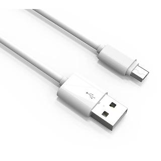 USB CABLE A MALE TO C MALE 6FT