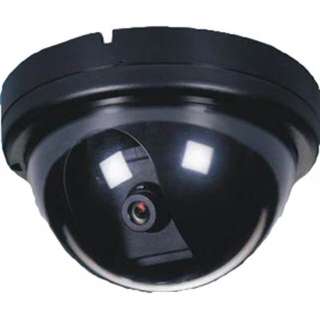 CAMERA DUMMY WITH MOTION SENSOR USE 2AA BATTERIES