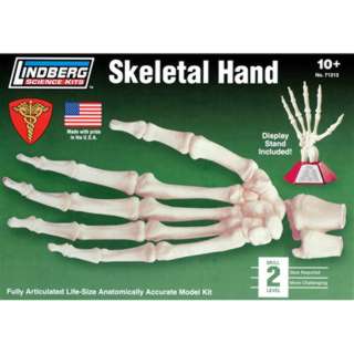 HUMAN SKELETAL HAND MODEL KIT